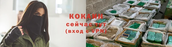 Альфа ПВП Магас