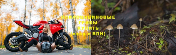 хмурый Майский