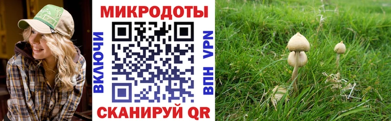 Псилоцибиновые грибы GOLDEN TEACHER Ржев